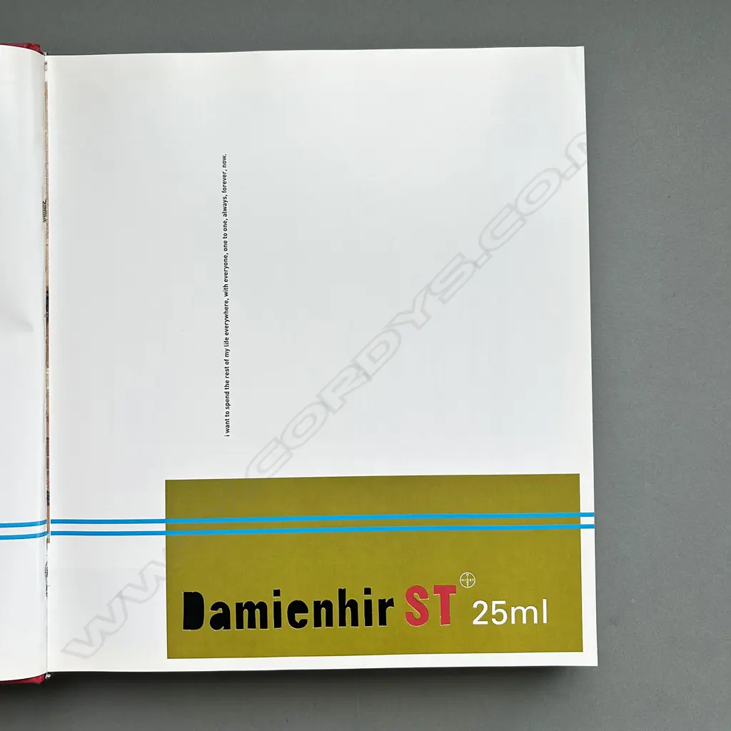DAMIEN HIRST: I WANT TO SPEND THE REST OF MY LIFE EVERYWHERE Image 1++